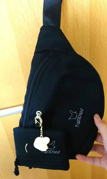 이츠데모 포켓몬 콜라보 바디백