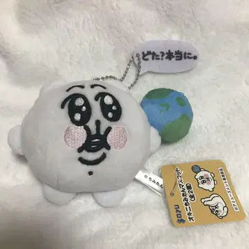 오키니 치미탄 마스코트 [모든 것을 이해한 치미] 프라이스 봉제 인형