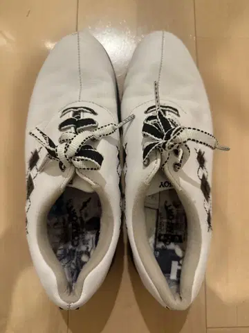 Foot joy 골프화 & 캘러웨이 신발 가방