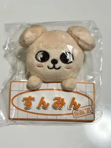 StrayKids 스키즈 승민 PuppyM 네임 백 참