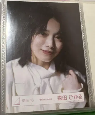 사쿠라자카46 모리타 히카루 마찰 계수 요리