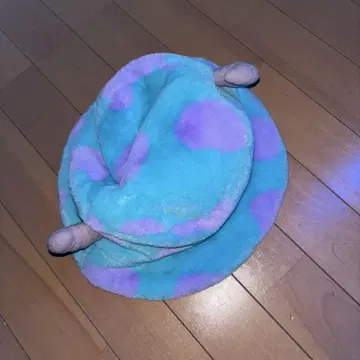 디즈니 씨의 햇