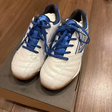 Accelerator TR JR Wide IN 화이트/블루 17.0