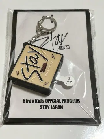 StrayKids 스키즈 승민 FC 한정판 보이스 키링