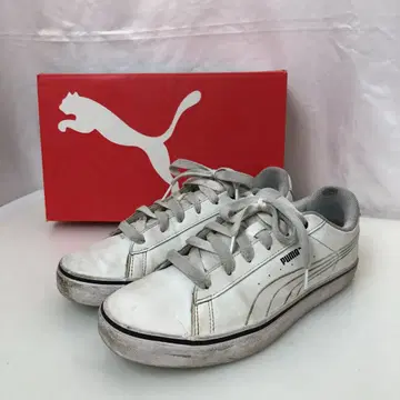 푸마 스니커즈 SOFT FOAM 7147