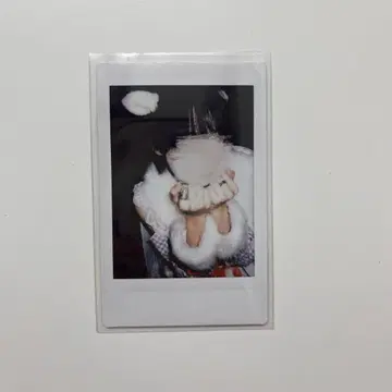라부시쿠 타로 폴라로이드 위험 LOVE