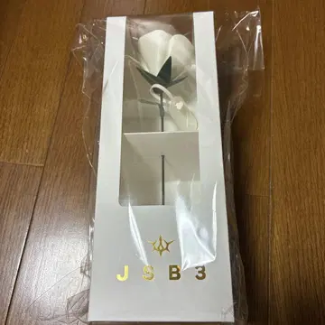 3대째 JSB KINGDOM 아트 로즈만