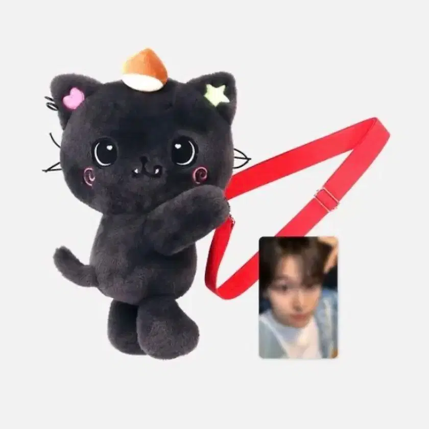 Nct Wish Riku Kuri Wishdoll bag wts | Bunjang Global
