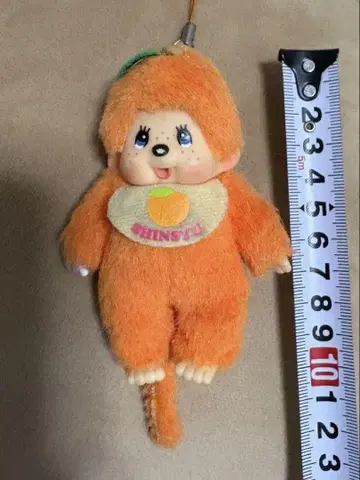 몬치치 오렌지