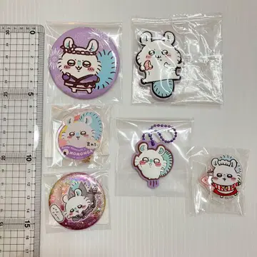 치이카와 모몽가 6세트