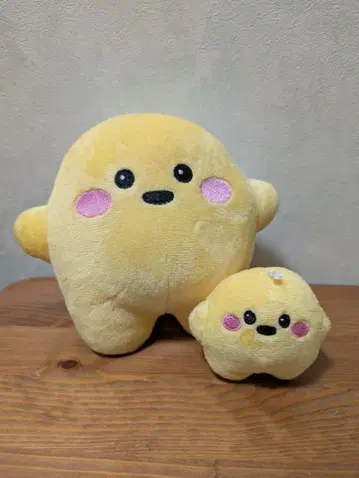 독일관 서큘러 2개