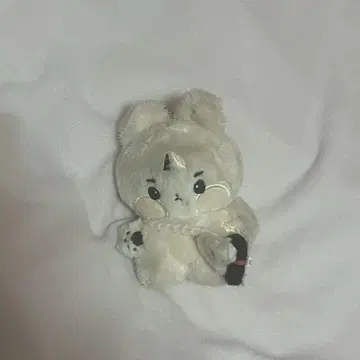 도보이즈 theboyz 큐 봉제 인형 코코 미니 마스터 미니 인형