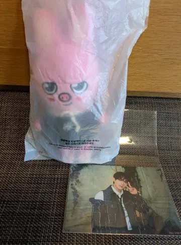straykids SKZOO 봉제 인형 돼끼 찬빈 포토 카드