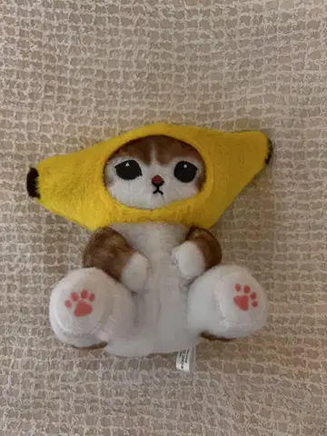 고양이 봉제 인형 바나나 모자 포함