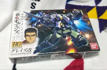 HG 그레이즈 개
