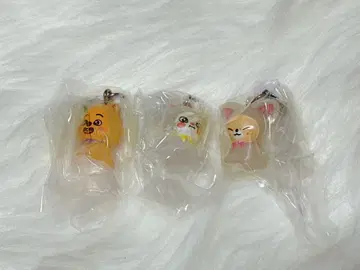 SKZOO 스키즈 메지루시 가챠 한쿠와카 지니레토 포쿠시니