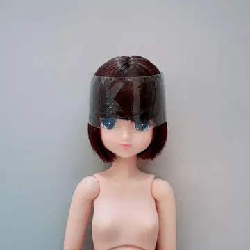 리카짱 캐슬 스위츠짱 오타노시미 인형 퓨어니모