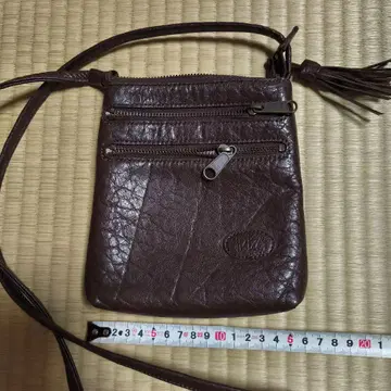 이비자 다크 브라운 가죽 미니백