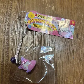 지역 한정 키티 홋카이도 한정판