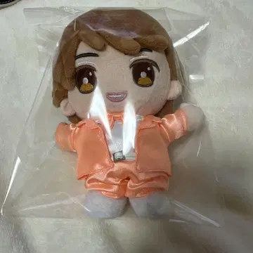부소 히카리 하피누이