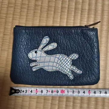 이비자 파우치