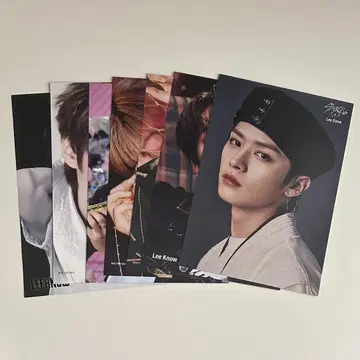 StrayKids 플라이어 리노