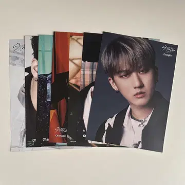 StrayKids 플라이어 찬빈