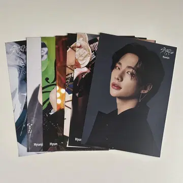 StrayKids 플라이어 현진