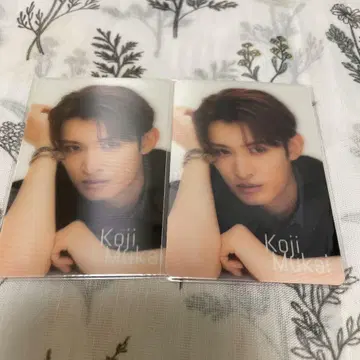 Snow Man 엿보기 카드 무카이 코지