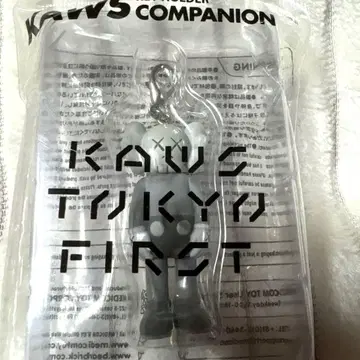 KAWS Companion Gray 키링