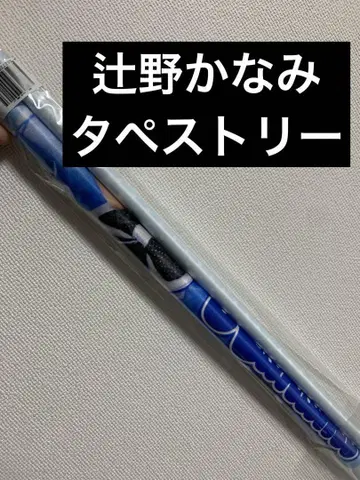 초도키메키 선전부 츠지노 카나미 태피스트리