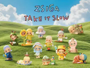 Zsiga Take It Slow 시리즈 [모듬 박스] 새상품