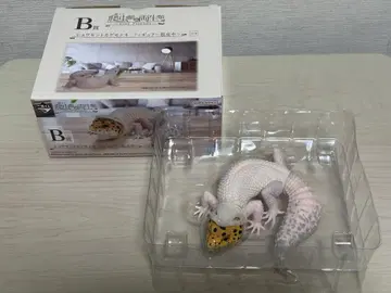 제일복권 파충류 및 양서류 B상 레오파드 도마뱀