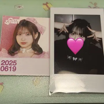 사쿠라바 하야카 폴라로이드