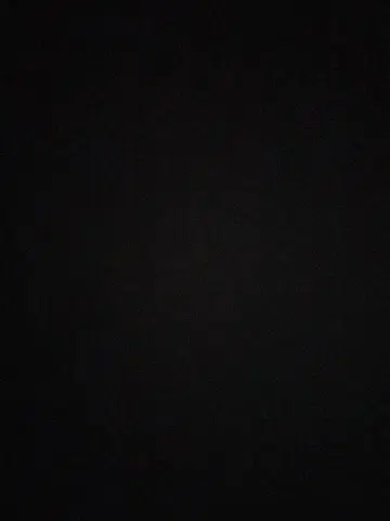 사치 님