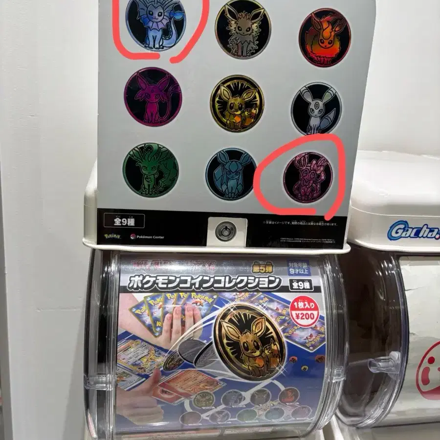 POKÉMON | 포켓몬스터 Japan) Pokémon Eevee Heroes Coin Collection Vaporeon  Sylveon #포켓몬센터,#포켓몬,#이브이즈,#샤미드,#님피아 on Bunjang Global Site.