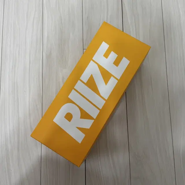 라이즈 응원봉