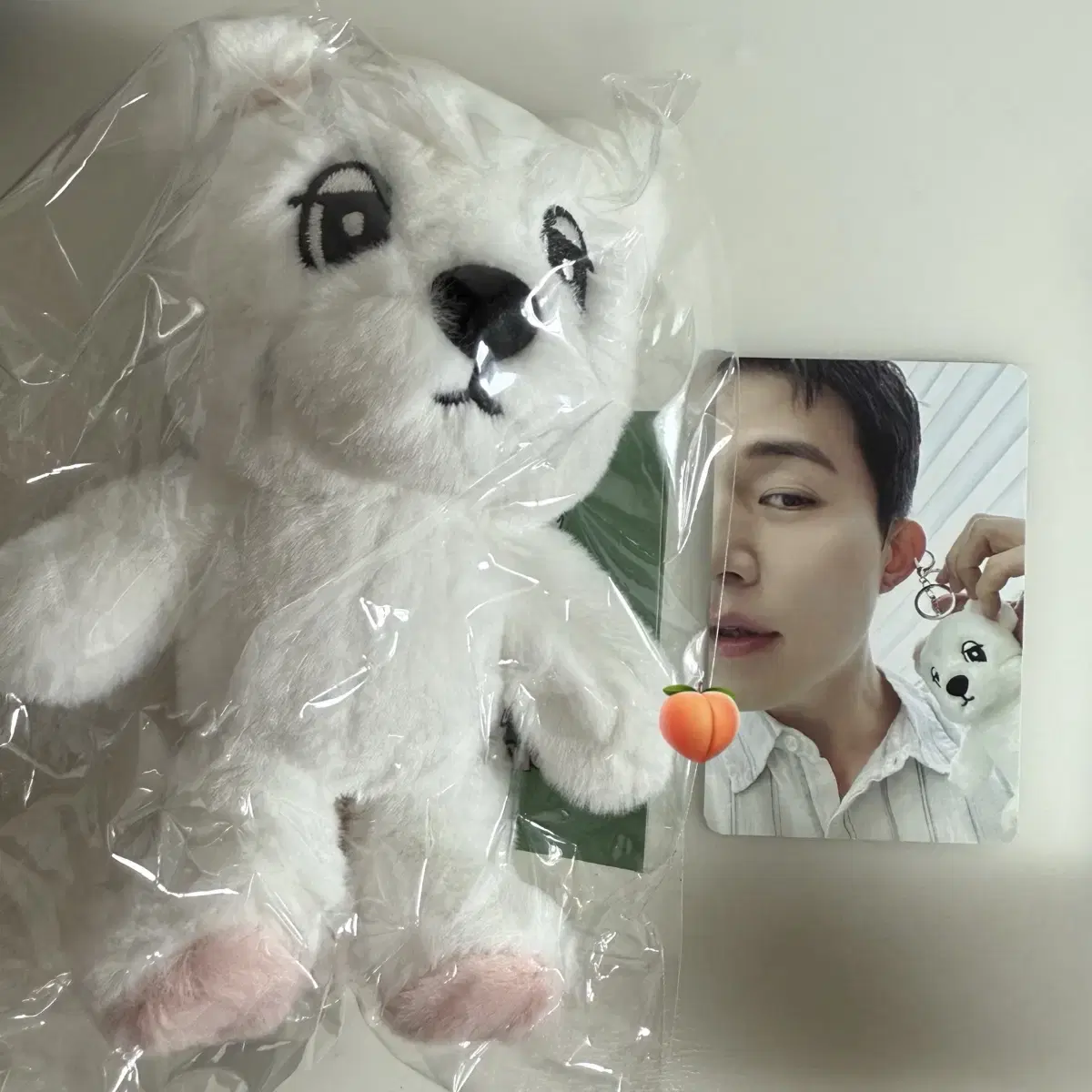 Ukdongyi Plush Doll Lee Dongwook Keyring Cafe Sealed