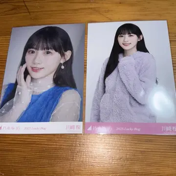 노기자카46 가와사키 사쿠라 브로마이드 묶음 판매 LuckyBag