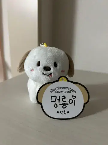 riize 앤톤 봉제 인형 키링 몽리옹이