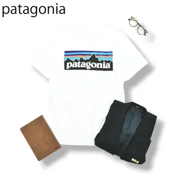 [빅 로고] 파타고니아 patagonia 크루넥 티셔츠 S