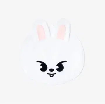 straykids leebit 부채 커버