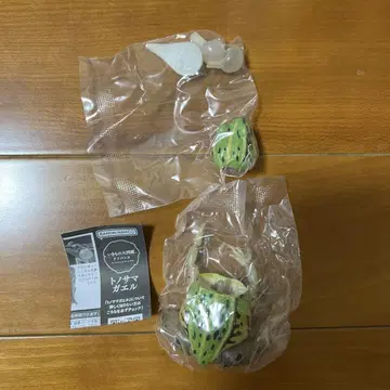 생물대도감 옴개구리 수컷 그린 컬러