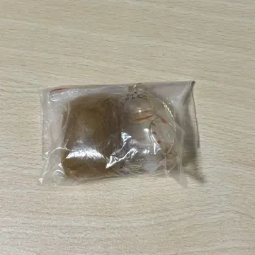우리 아이의 털뭉치