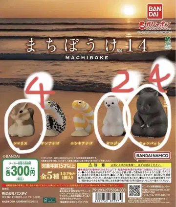 가챠가챠 기다림 14 원벳 시마리스 오코조