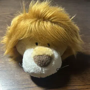 NICI 사자 카드 케이스