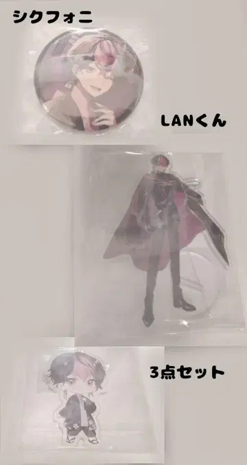 시쿠포니 LAN 군 3개 세트