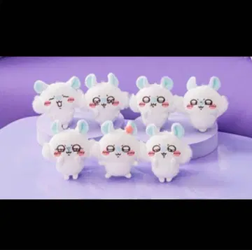모몽가 가득 복권 E상 컴플리트 세트