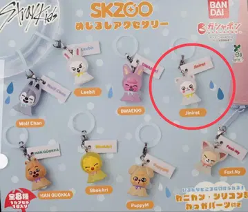 SKZOO 메지루시 액세서리 미사용 새상품 Jiniret