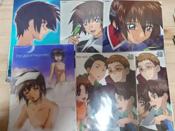 건담 SEED DESTINY 사진 컬렉션 Cell DX 키라